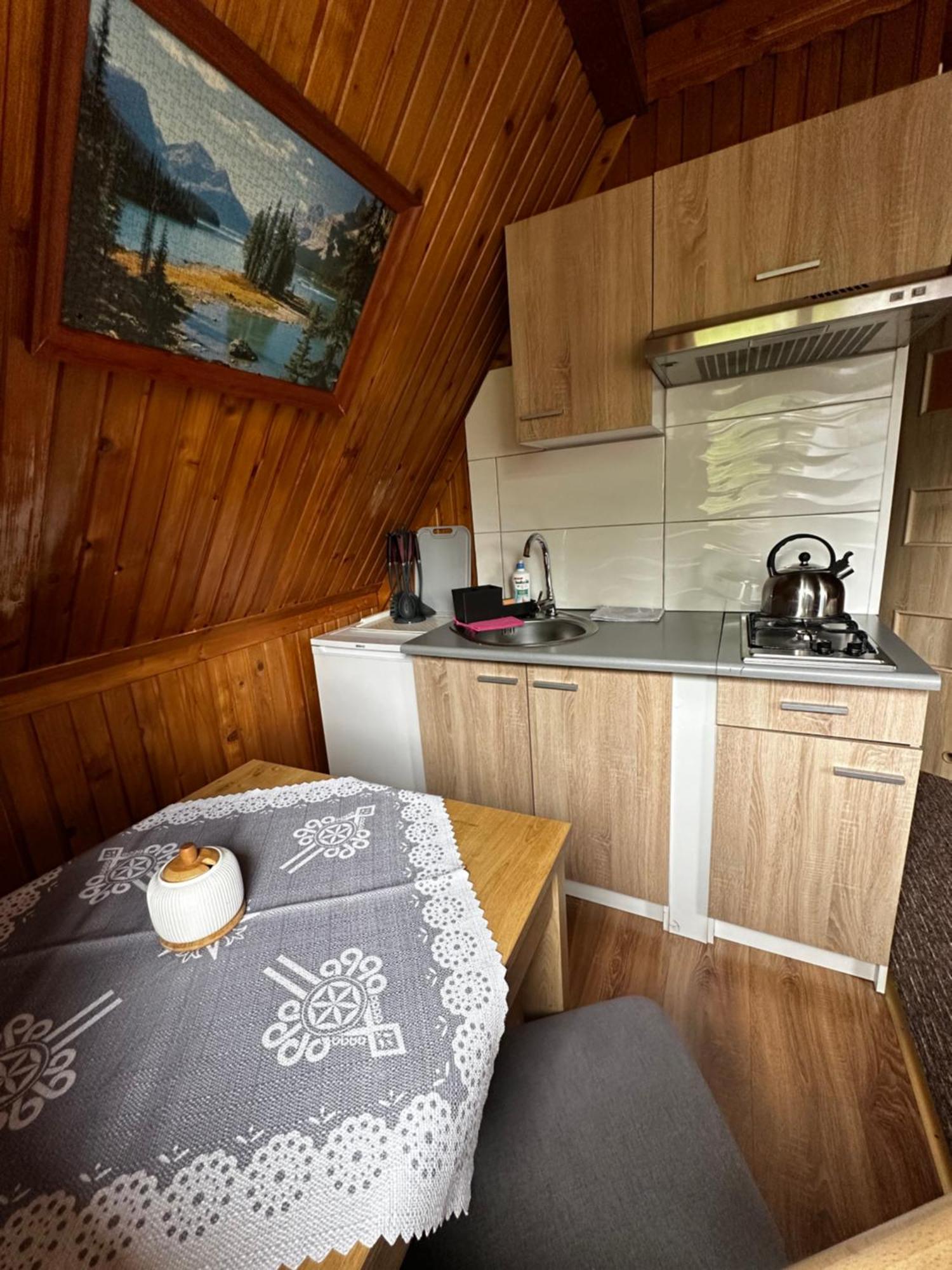 Willa Pod Stokiem Zakopane Extérieur photo